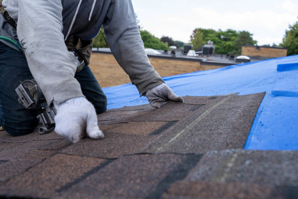 Roof Gutter Cleaning in Banks, OR